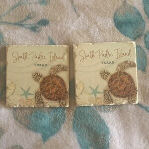 South Padre Island Turtle Coasters